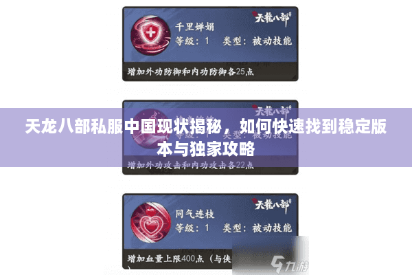 天龙八部私服中国现状揭秘，如何快速找到稳定版本与独家攻略