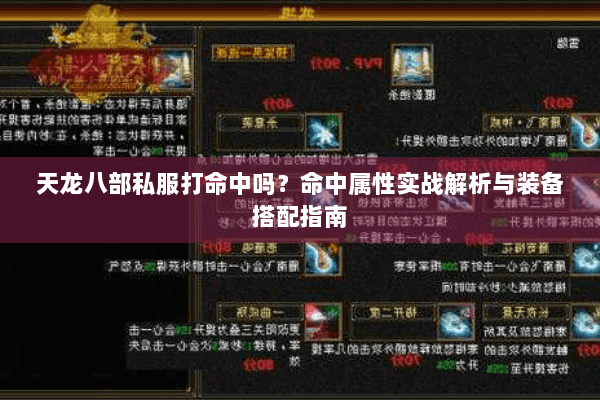 天龙八部私服打命中吗？命中属性实战解析与装备搭配指南