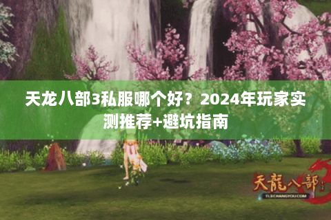 天龙八部3私服哪个好？2024年玩家实测推荐+避坑指南