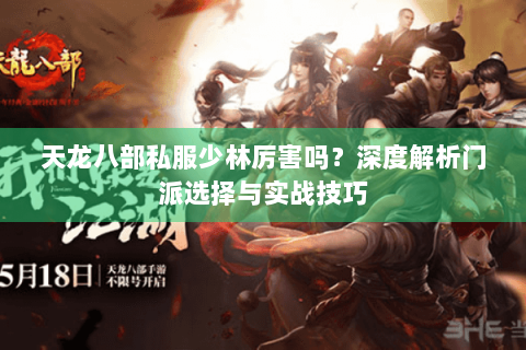 天龙八部私服少林厉害吗？深度解析门派选择与实战技巧