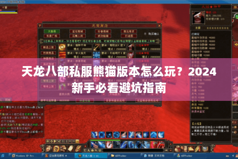 天龙八部私服熊猫版本怎么玩？2024新手必看避坑指南