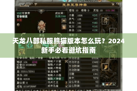 天龙八部私服熊猫版本怎么玩？2024新手必看避坑指南