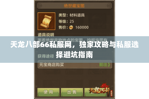 天龙八部66私服网，独家攻略与私服选择避坑指南