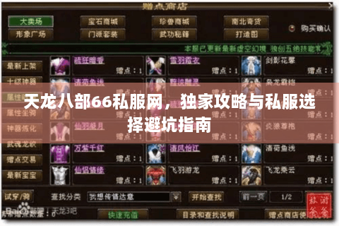 天龙八部66私服网，独家攻略与私服选择避坑指南