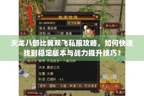 天龙八部比翼双飞私服攻略，如何快速找到稳定版本与战力提升技巧？