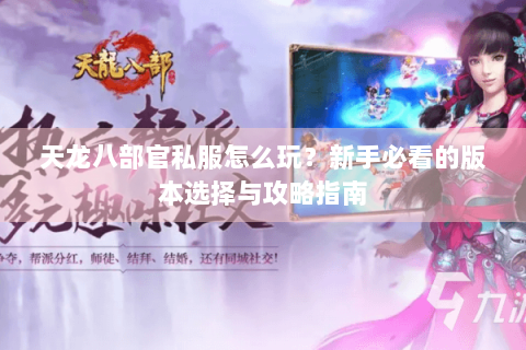 天龙八部官私服怎么玩？新手必看的版本选择与攻略指南