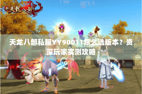 天龙八部私服YY90011怎么选版本？资深玩家实测攻略