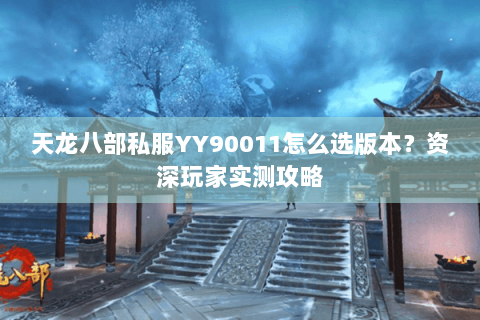 天龙八部私服YY90011怎么选版本？资深玩家实测攻略