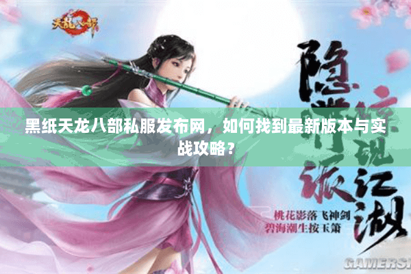 黑纸天龙八部私服发布网，如何找到最新版本与实战攻略？