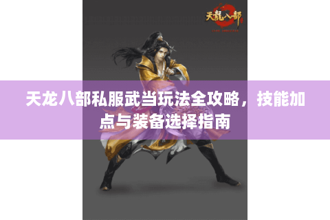 天龙八部私服武当玩法全攻略，技能加点与装备选择指南