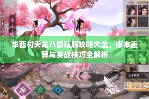 华西村天龙八部私服攻略大全，版本差异与实战技巧全解析