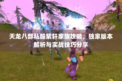 天龙八部私服紫轩家族攻略，独家版本解析与实战技巧分享