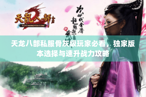 天龙八部私服骨灰级玩家必看，独家版本选择与速升战力攻略