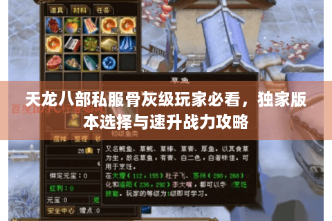 天龙八部私服骨灰级玩家必看，独家版本选择与速升战力攻略