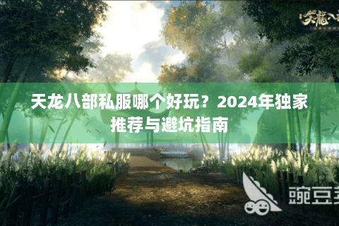 天龙八部私服哪个好玩？2024年独家推荐与避坑指南