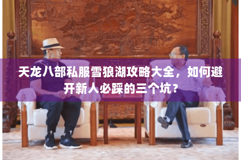天龙八部私服雪狼湖攻略大全，如何避开新人必踩的三个坑？