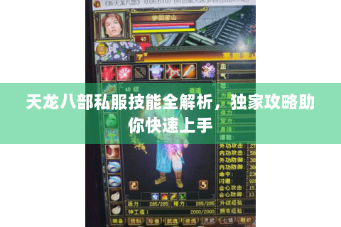天龙八部私服技能全解析，独家攻略助你快速上手