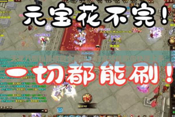 天龙八部私服技能全解析，独家攻略助你快速上手