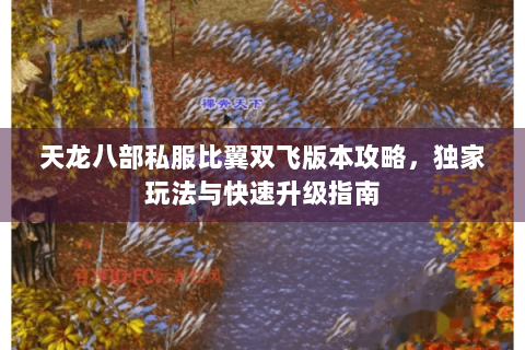天龙八部私服比翼双飞版本攻略，独家玩法与快速升级指南