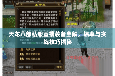 天龙八部私服重楼装备全解，爆率与实战技巧揭秘