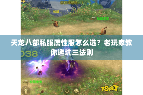 天龙八部私服属性服怎么选？老玩家教你避坑三法则