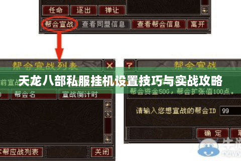 天龙八部私服挂机设置技巧与实战攻略