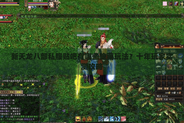 新天龙八部私服贴吧有哪些隐藏玩法？十年玩家实测攻略