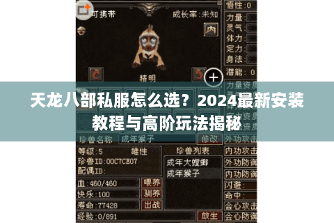 天龙八部私服怎么选？2024最新安装教程与高阶玩法揭秘