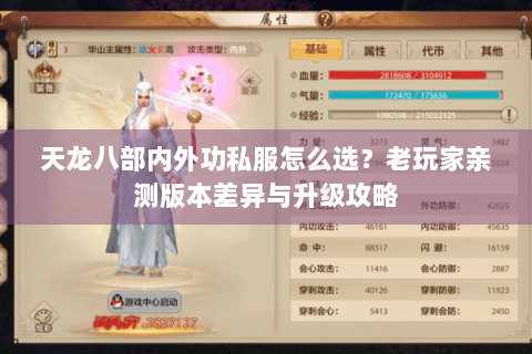 天龙八部内外功私服怎么选？老玩家亲测版本差异与升级攻略