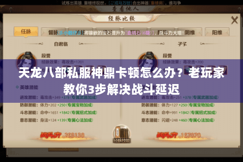 天龙八部私服神鼎卡顿怎么办？老玩家教你3步解决战斗延迟