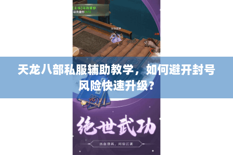 天龙八部私服辅助教学，如何避开封号风险快速升级？