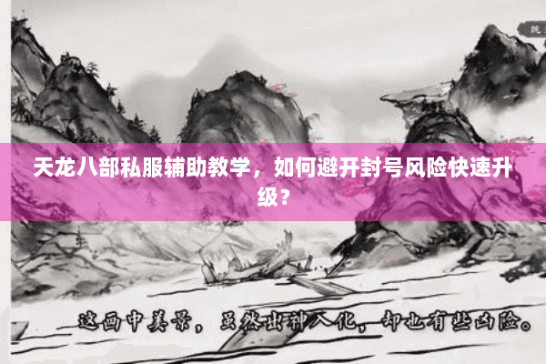 天龙八部私服辅助教学，如何避开封号风险快速升级？