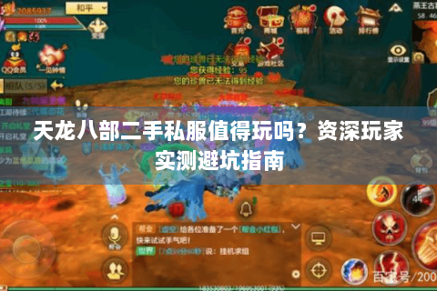 天龙八部二手私服值得玩吗？资深玩家实测避坑指南