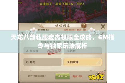 天龙八部私服宏杰权限全攻略，GM指令与独家玩法解析
