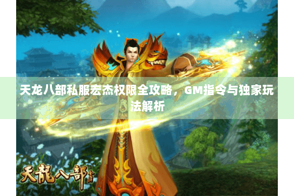天龙八部私服宏杰权限全攻略，GM指令与独家玩法解析