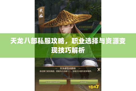 天龙八部私服攻略，职业选择与资源变现技巧解析