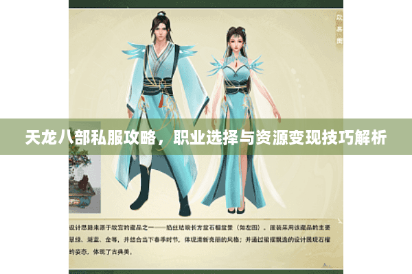 天龙八部私服攻略，职业选择与资源变现技巧解析