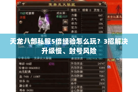 天龙八部私服5倍经验怎么玩？3招解决升级慢、封号风险