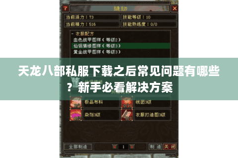 天龙八部私服下载之后常见问题有哪些？新手必看解决方案