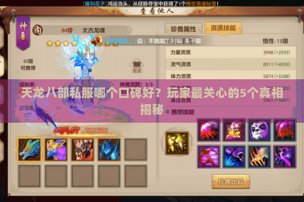 天龙八部私服哪个口碑好？玩家最关心的5个真相揭秘