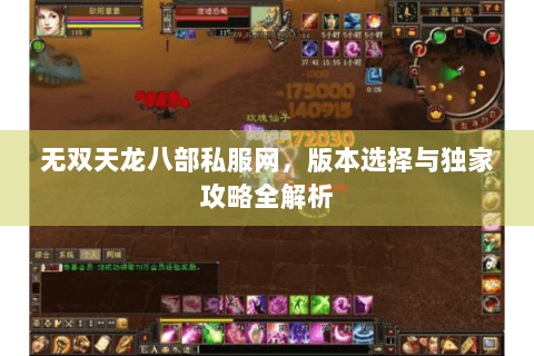 无双天龙八部私服网，版本选择与独家攻略全解析