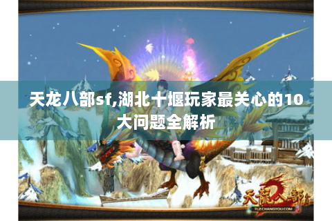 天龙八部sf,湖北十堰玩家最关心的10大问题全解析