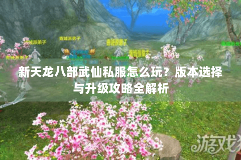 新天龙八部武仙私服怎么玩？版本选择与升级攻略全解析