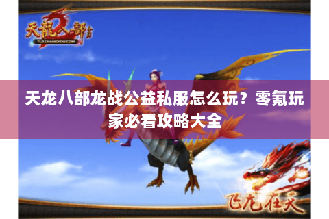 天龙八部龙战公益私服怎么玩？零氪玩家必看攻略大全