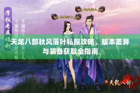 天龙八部秋风落叶私服攻略，版本差异与装备获取全指南