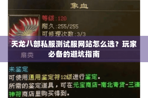 天龙八部私服测试服网站怎么选？玩家必备的避坑指南