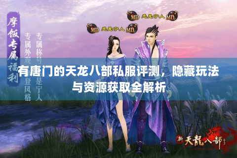 有唐门的天龙八部私服评测，隐藏玩法与资源获取全解析