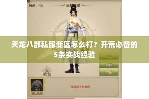 天龙八部私服新区怎么打？开荒必备的5条实战经验