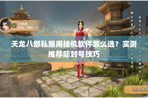 天龙八部私服用挂机软件怎么选？实测推荐防封号技巧