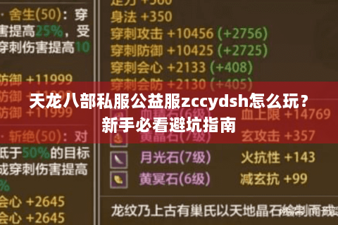 天龙八部私服公益服zccydsh怎么玩？新手必看避坑指南